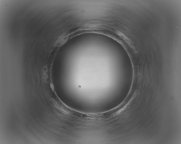 X0000073841449200608170954