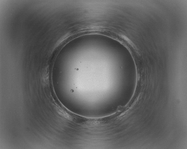 X0000073841450200608170954