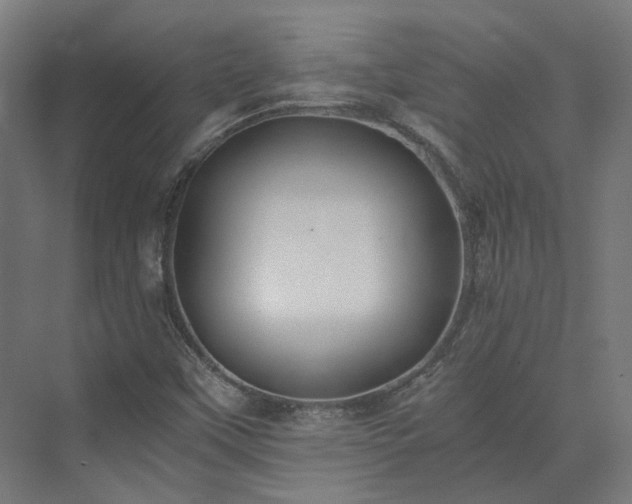 X0000073841451200608170954