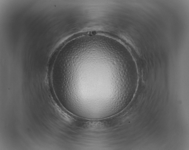 X0000073841452200608170954