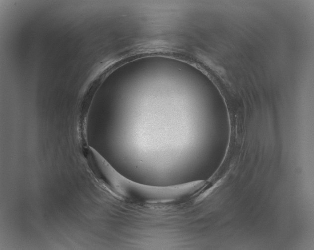 X0000073841453200608170954