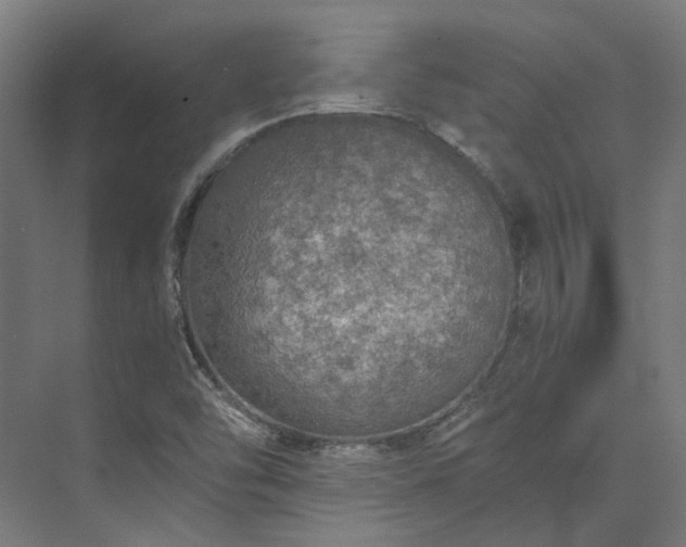 X0000073841454200608170954