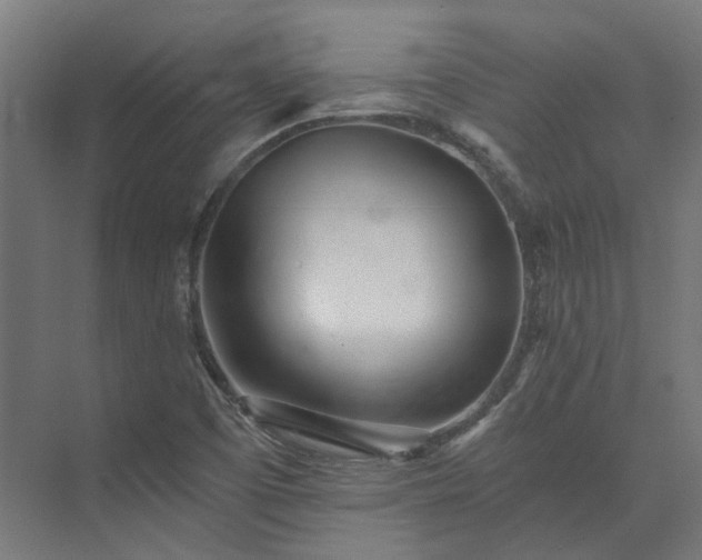 X0000073841457200608170954