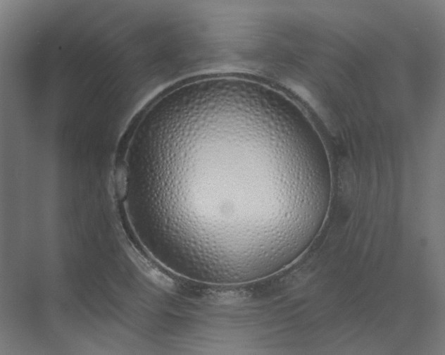 X0000073841460200608170954