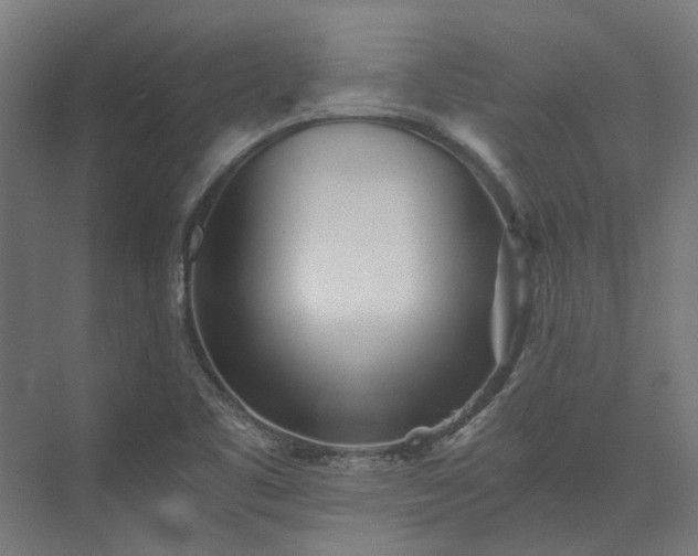 X0000073841461200608170954