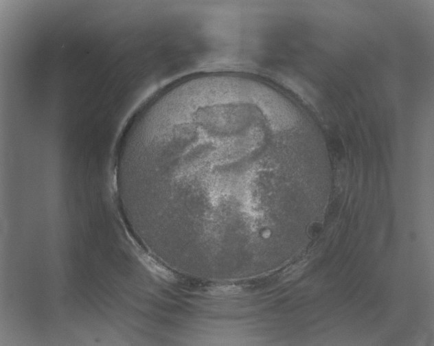 X0000073841462200608170954