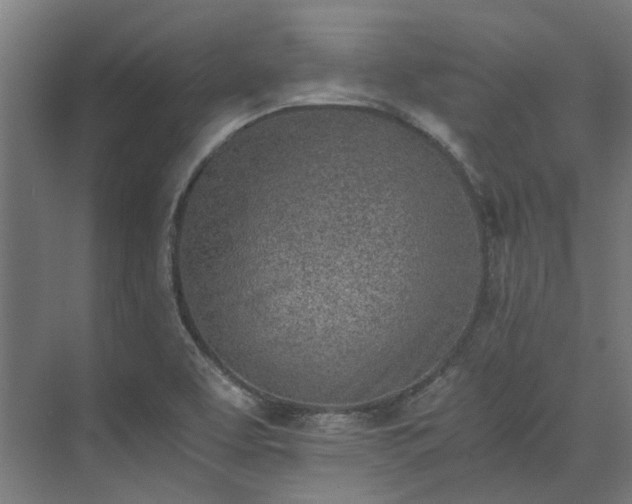 X0000073841463200608170954