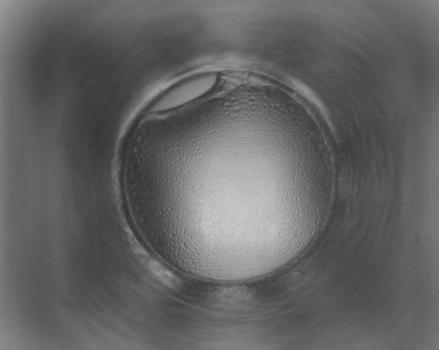 X0000073841464200608170954