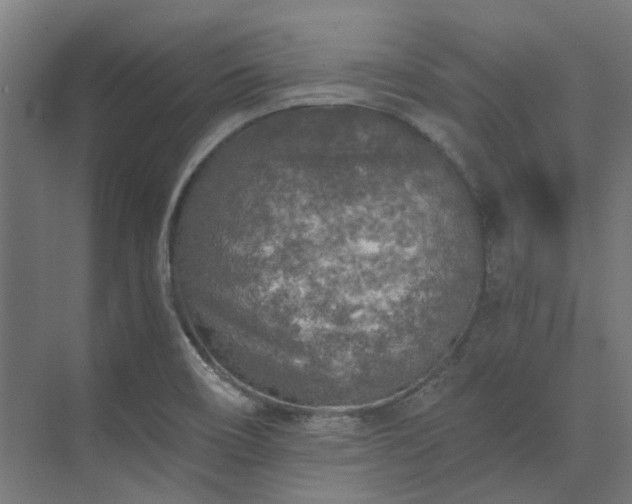 X0000073841466200608170954