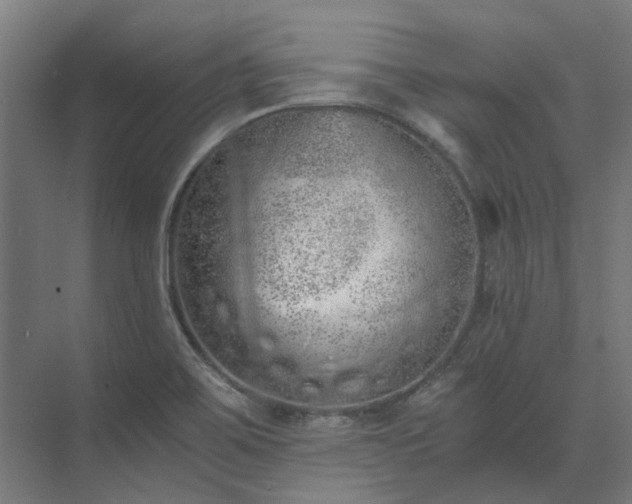 X0000073841467200608170954