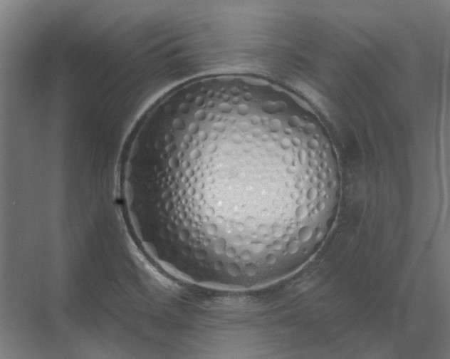 X0000073841468200608170954