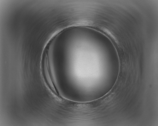 X0000073841469200608170954