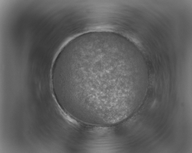 X0000073841470200608170954