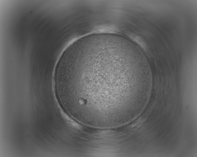 X0000073841471200608170954