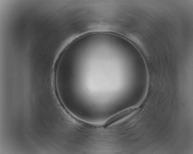 X0000073841472200608170954