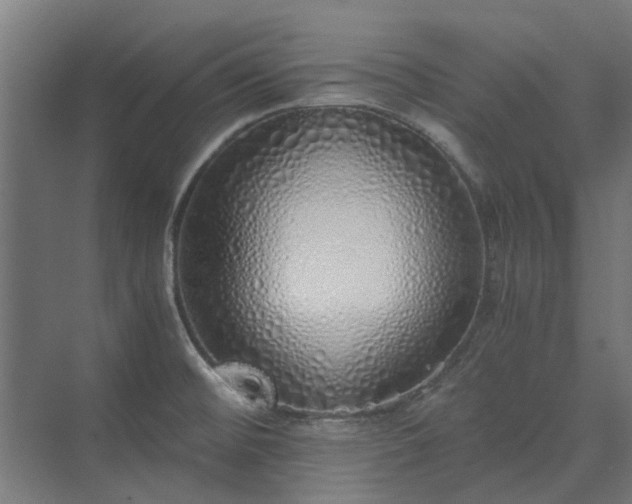 X0000073841476200608170954