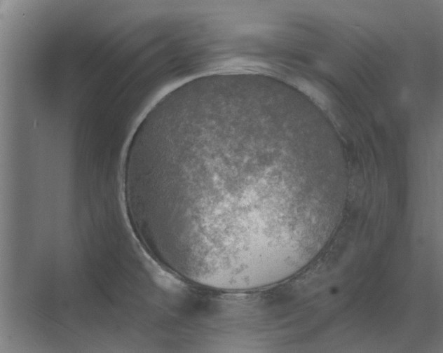 X0000073841478200608170954