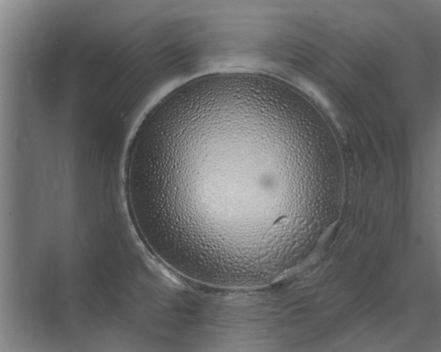 X0000073841480200608170954