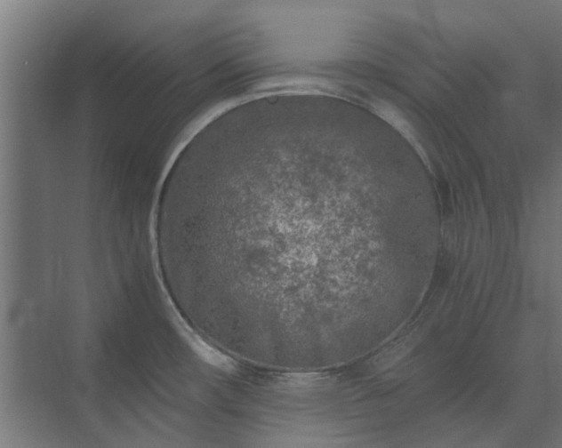 X0000073841482200608170954