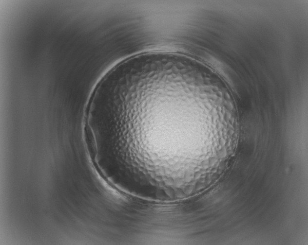 X0000073841484200608170954