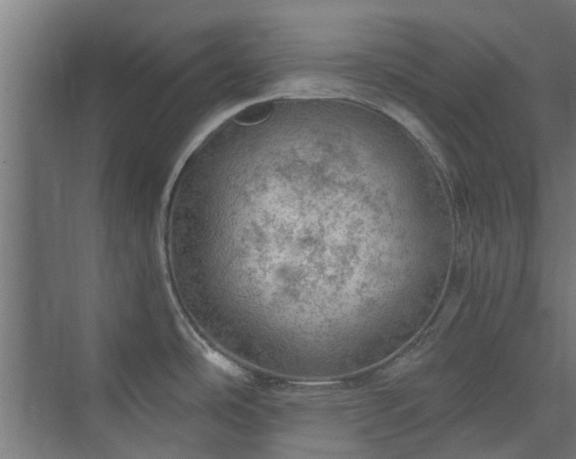 X0000073841486200608170954