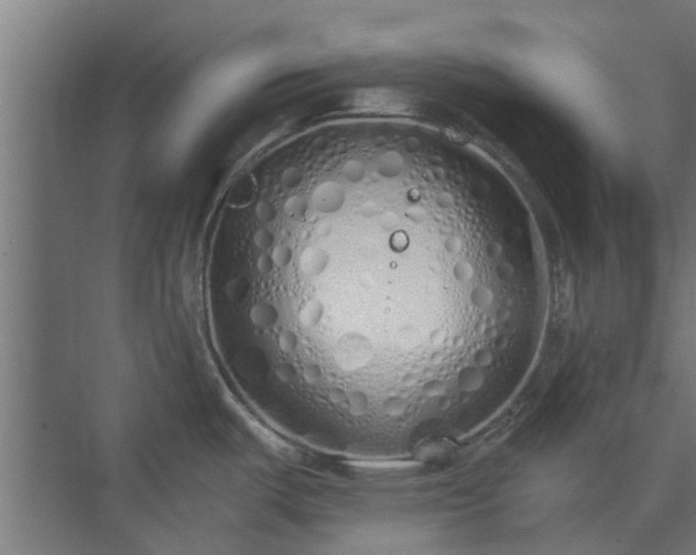 X0000073841487200608170954