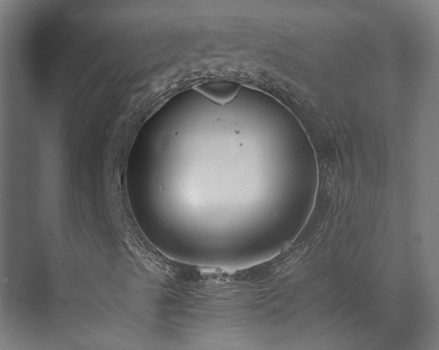 X0000073841489200608170953