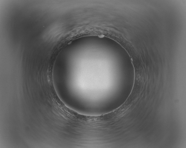 X0000073841490200608170953