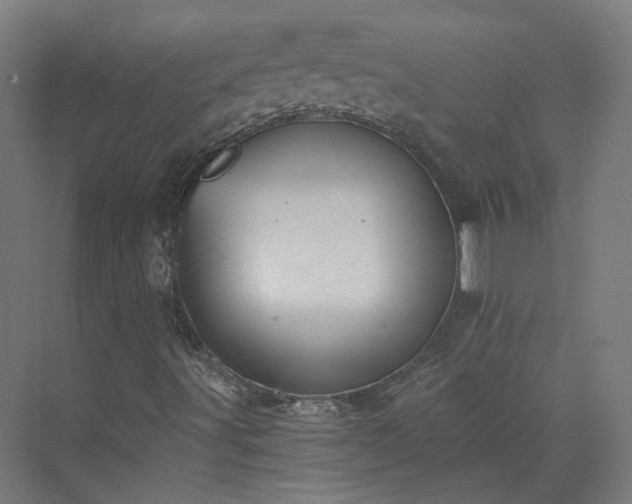 X0000073841491200608170953