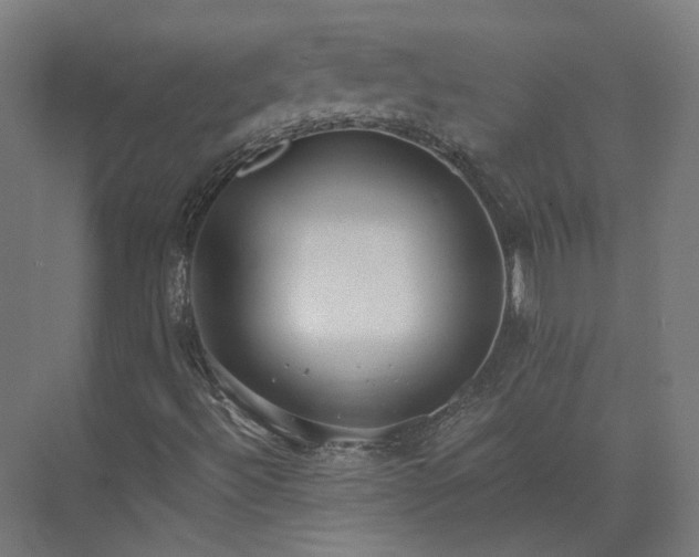 X0000073841492200608170953