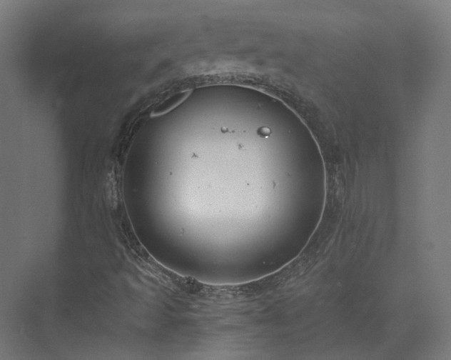 X0000073841493200608170953