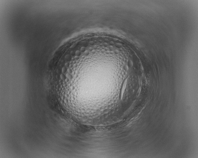 X0000073841494200608170953