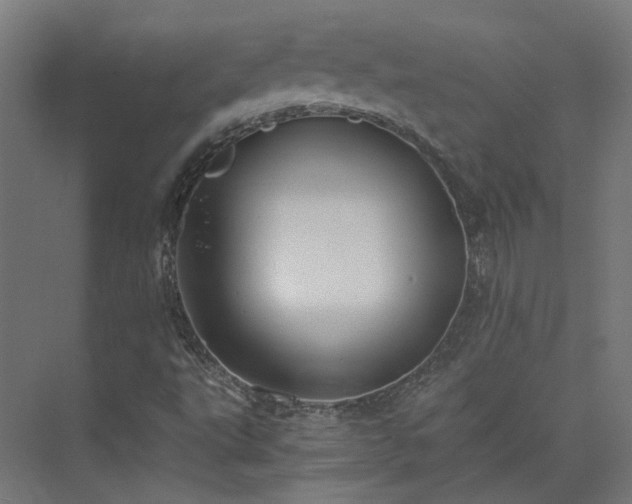 X0000073841495200608170953