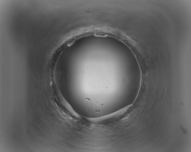 X0000073841496200608170953