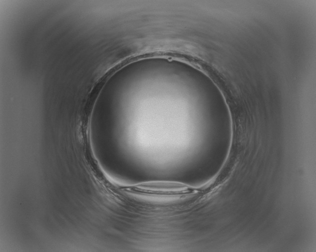 X0000073841497200608170953