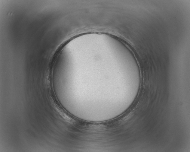 X0000073841498200608170953