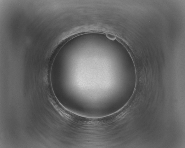 X0000073841499200608170953