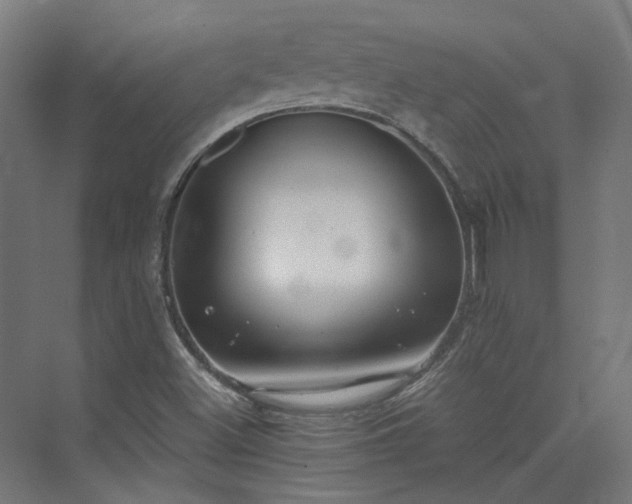 X0000073841500200608170953