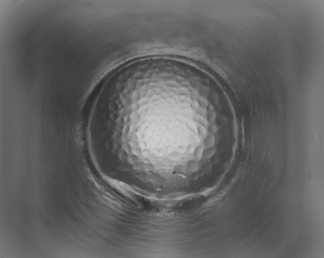 X0000073841501200608170953