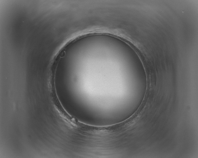 X0000073841502200608170953