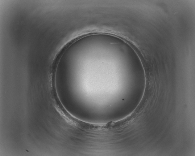 X0000073841503200608170953