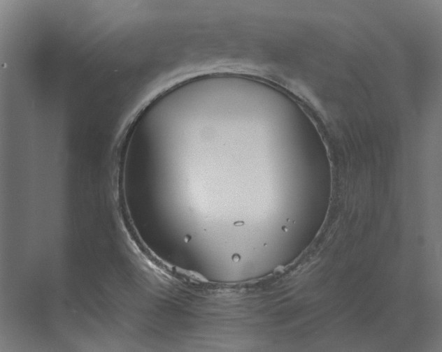 X0000073841504200608170953