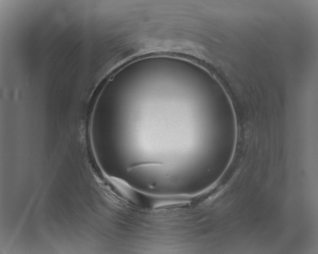 X0000073841505200608170953