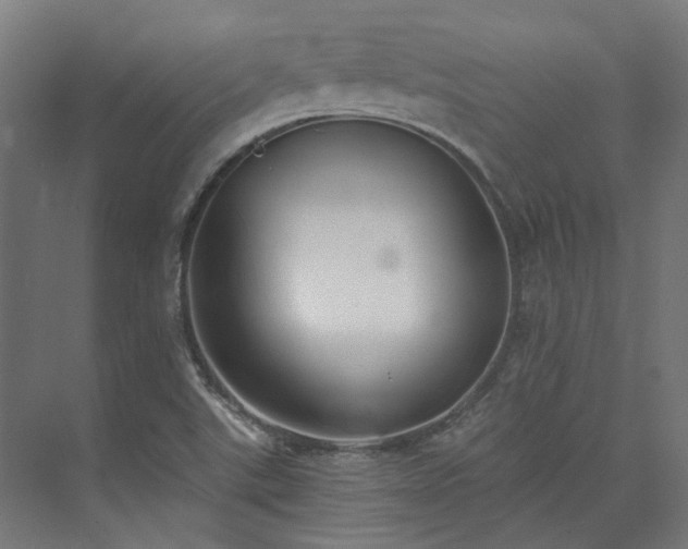 X0000073841507200608170953