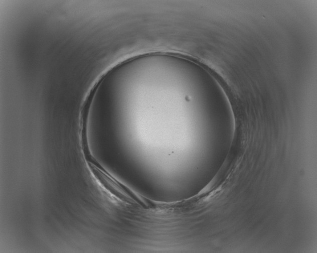 X0000073841508200608170953