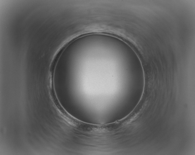 X0000073841509200608170953