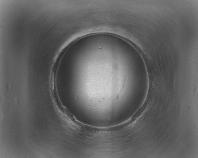 X0000073841510200608170953