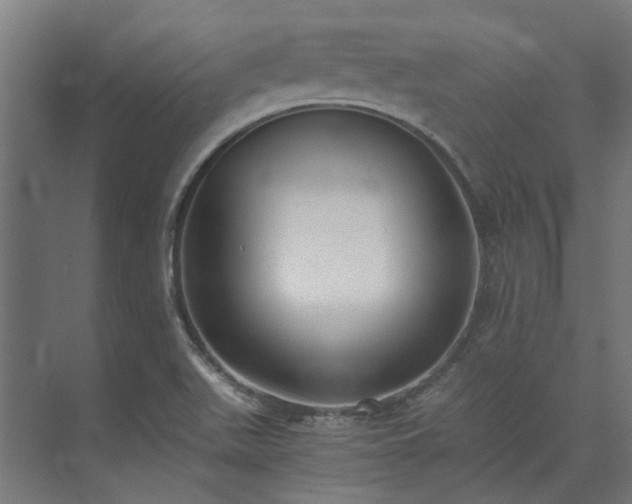 X0000073841511200608170953