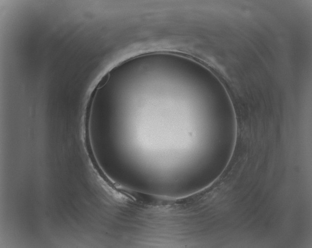 X0000073841512200608170953