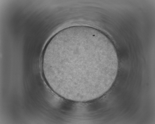 X0000073841514200608170953